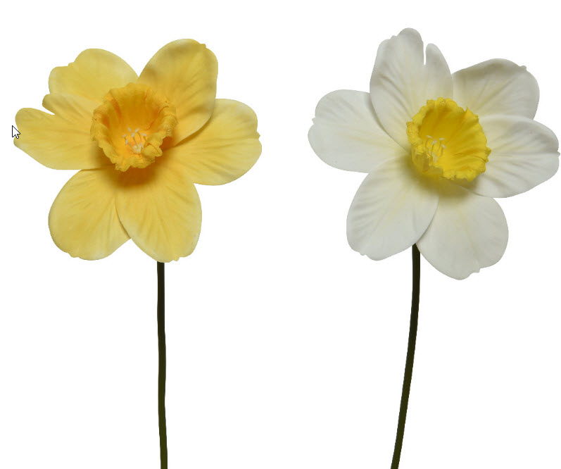 Narcissus spray