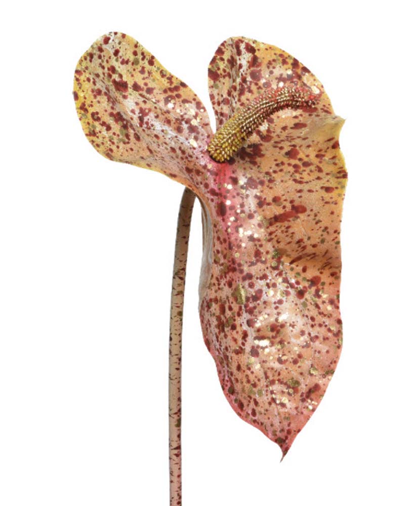 Anthurium spray