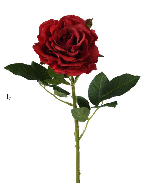 Rose spray