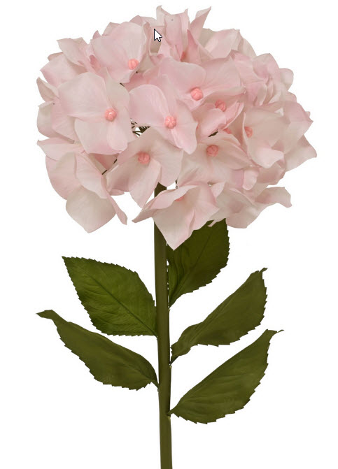 Hydrangea spray xl