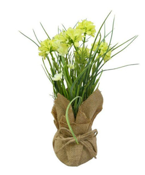 Flowers in bag
