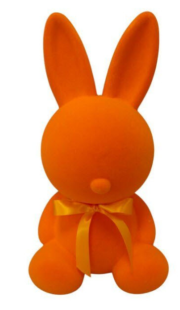 Rabbit sitting