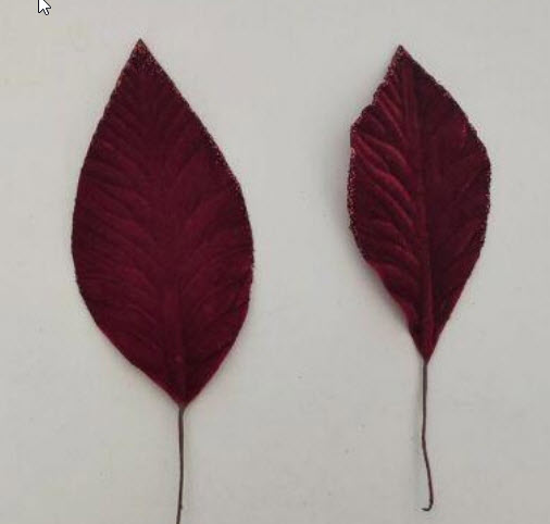 Leaves on wire