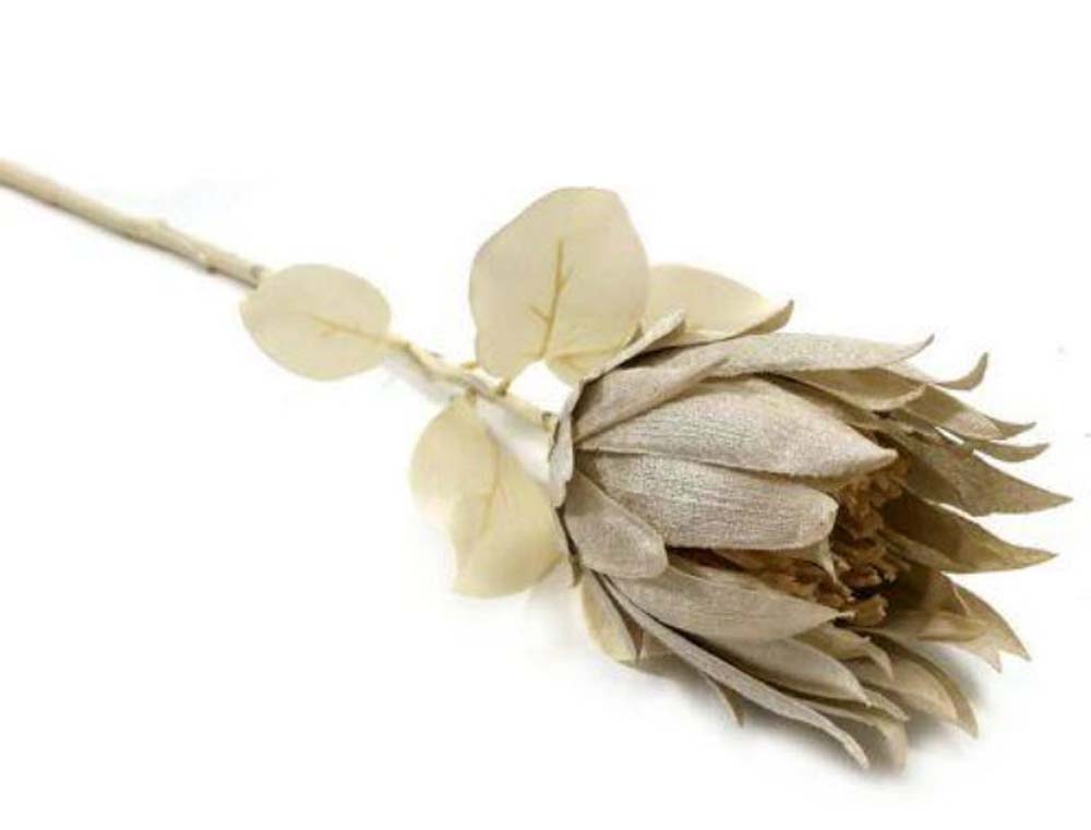 Protea spray velvet