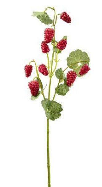 Mulberry spray