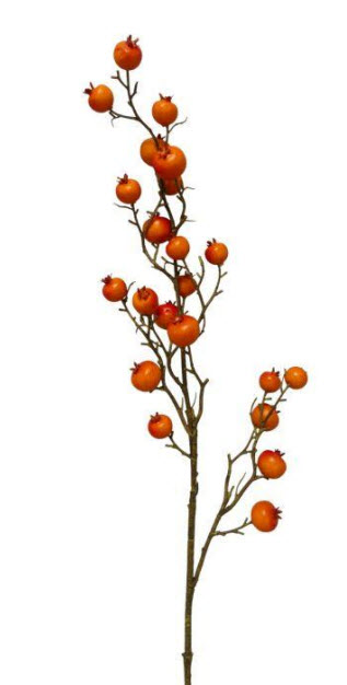 Rose hips spray
