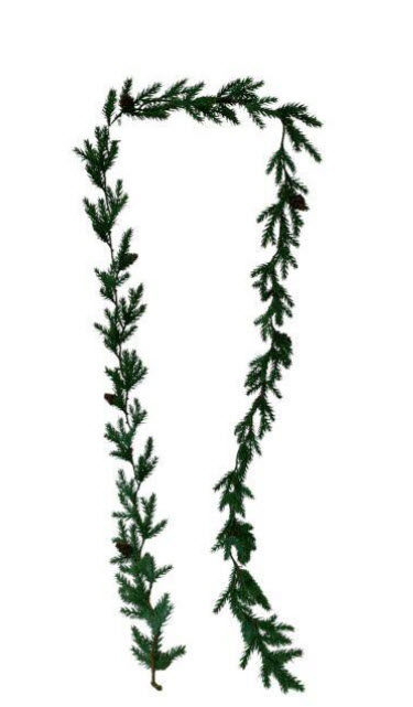 Pine garland w/cones