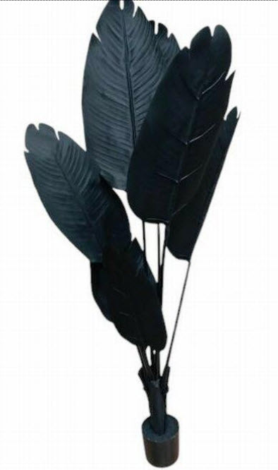 Travellers palm