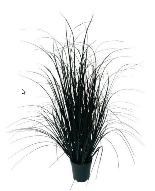 Grass