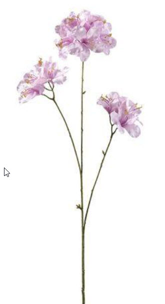 Azalea spray x3