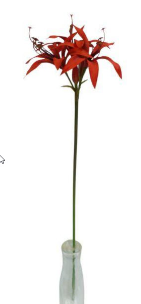 Amaryllis spray x5