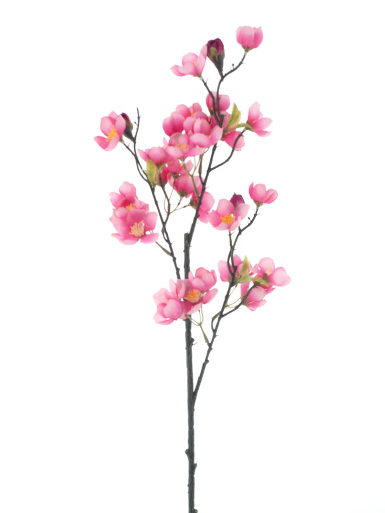 Apple blossom spray
