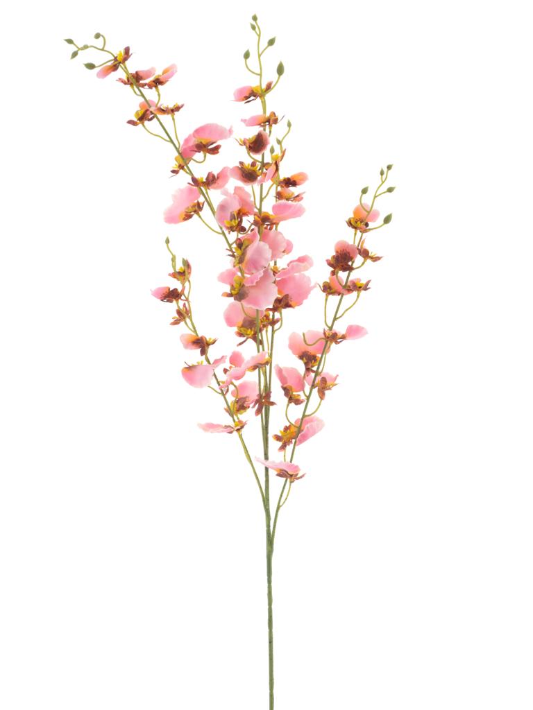 Orchid spray