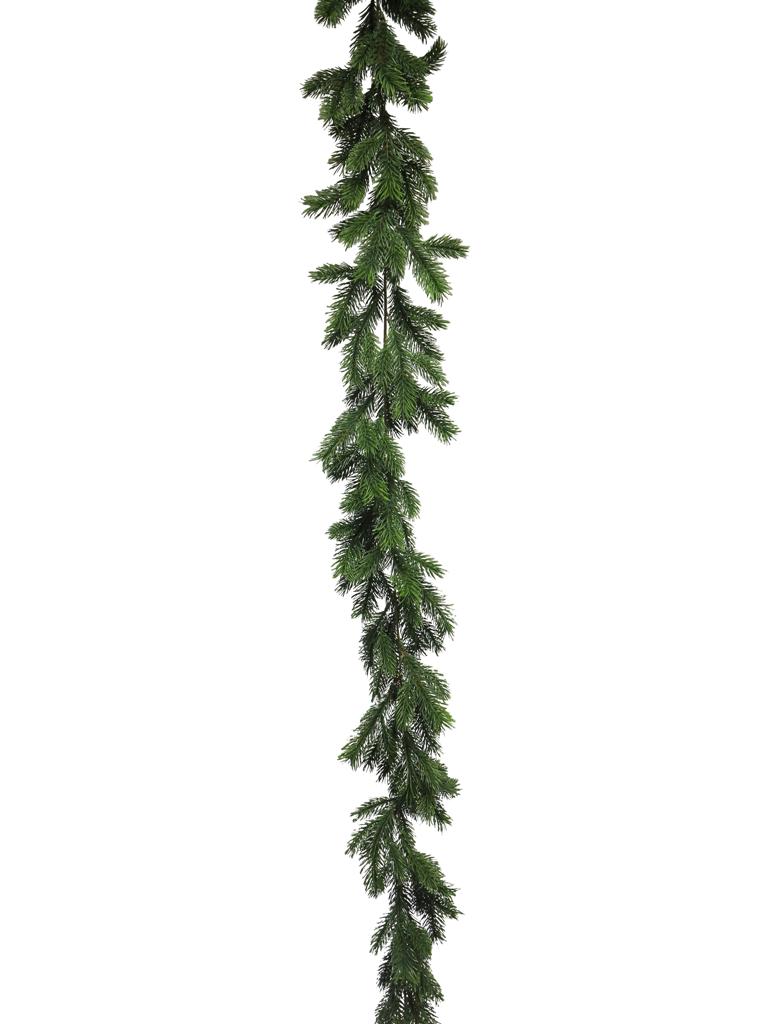 Pinus garland