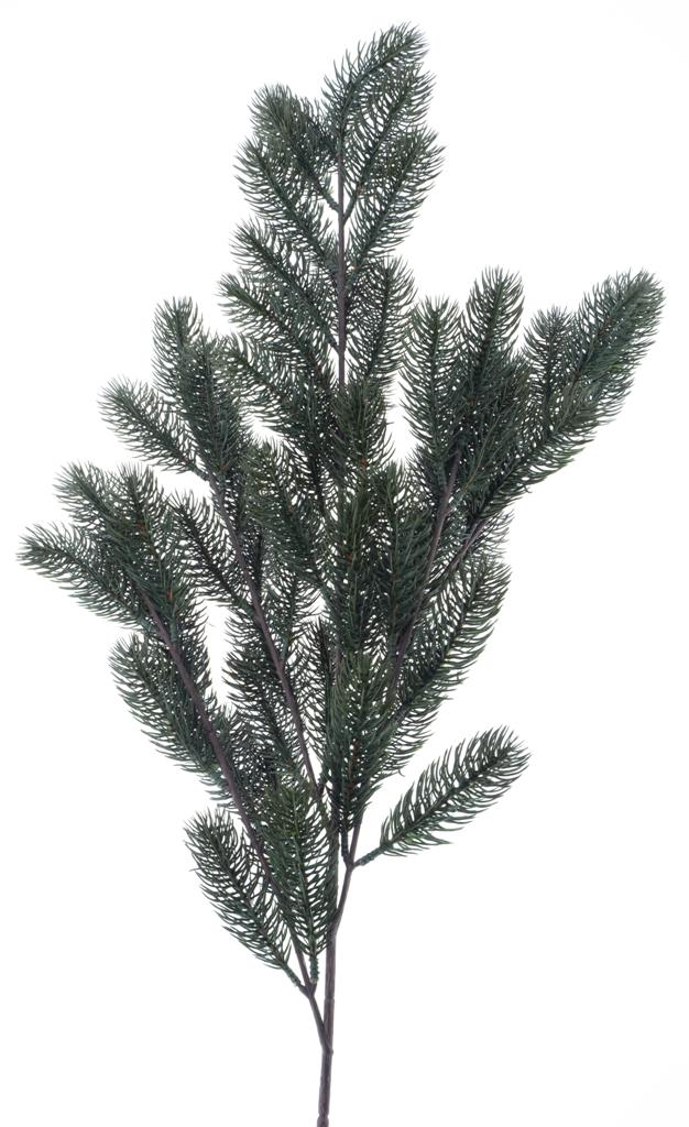 Pinus pick nisse