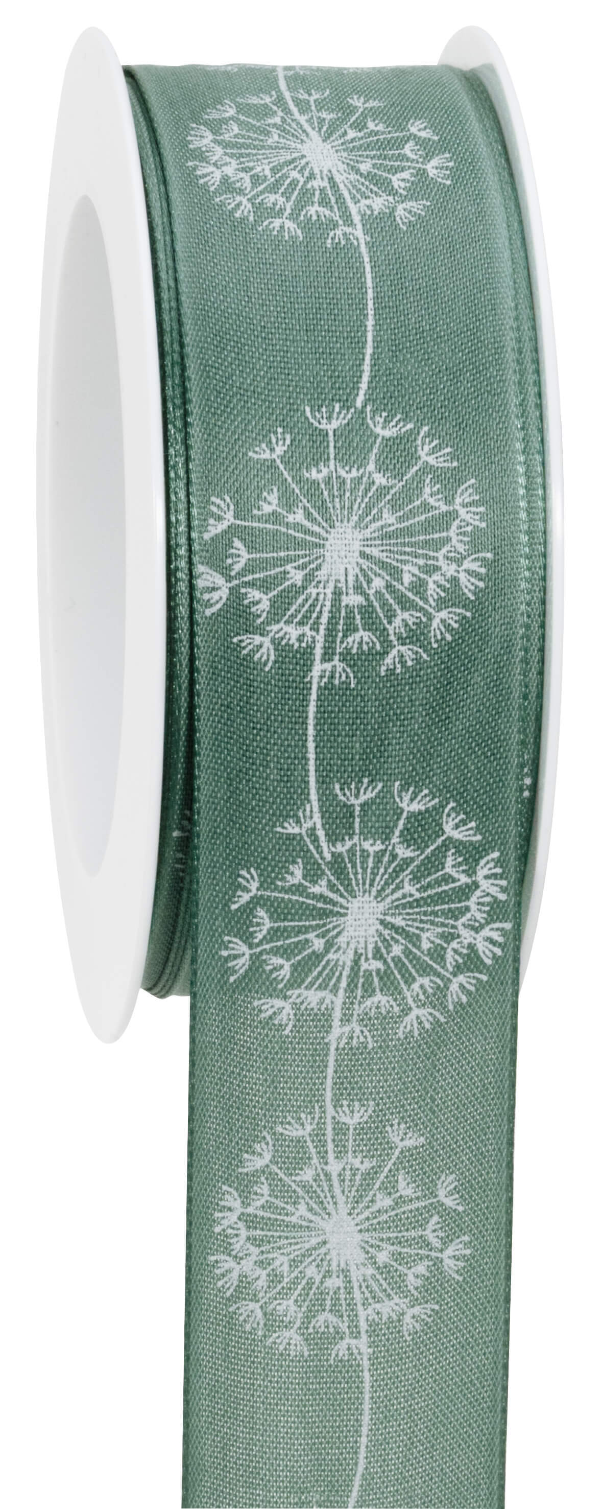Ribbon dandelion