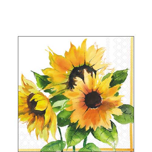 Girasoli
