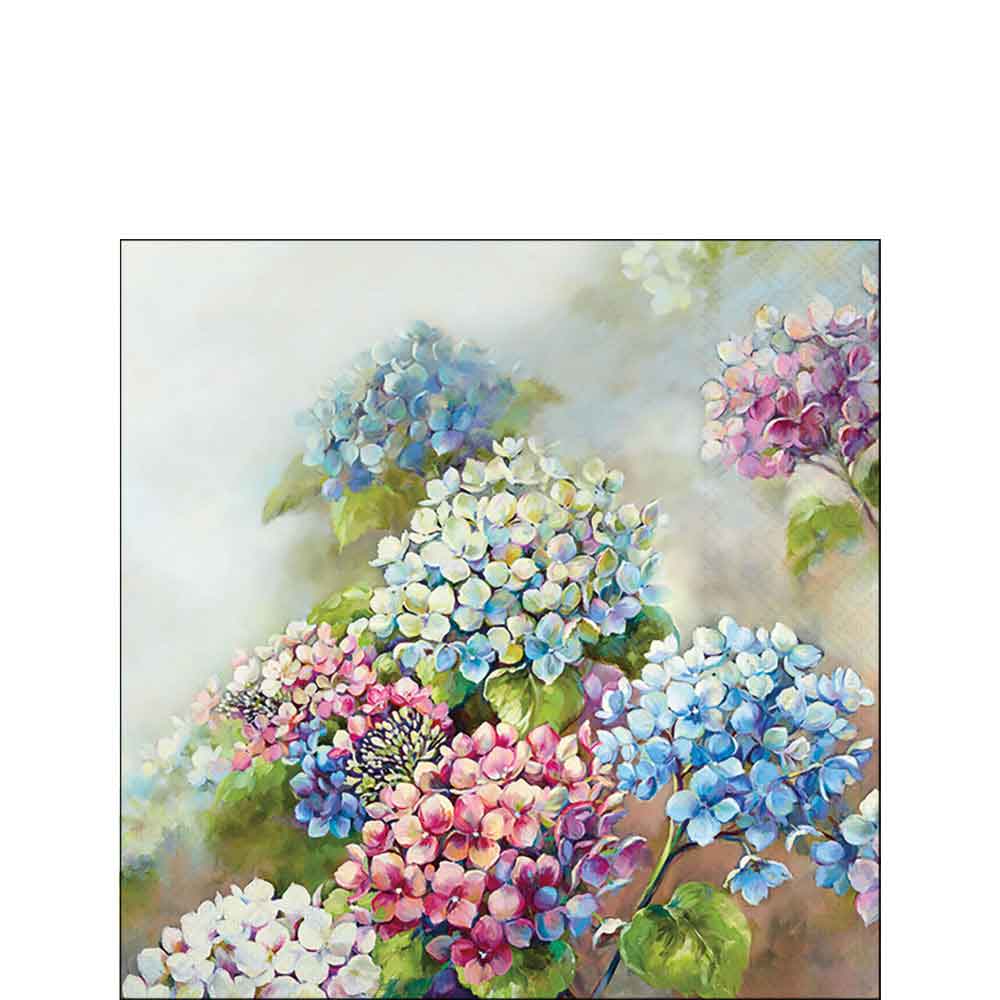 Hydrangea shades