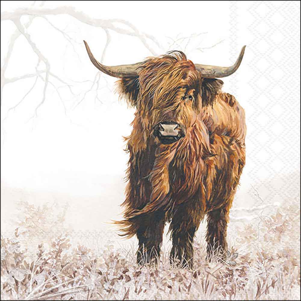 Highlander