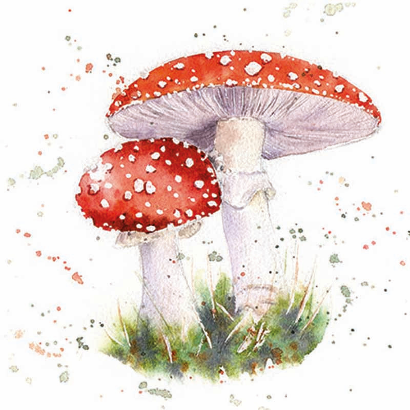 Painted fly agaric