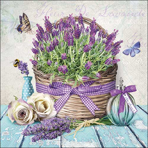 Fleur de lavende