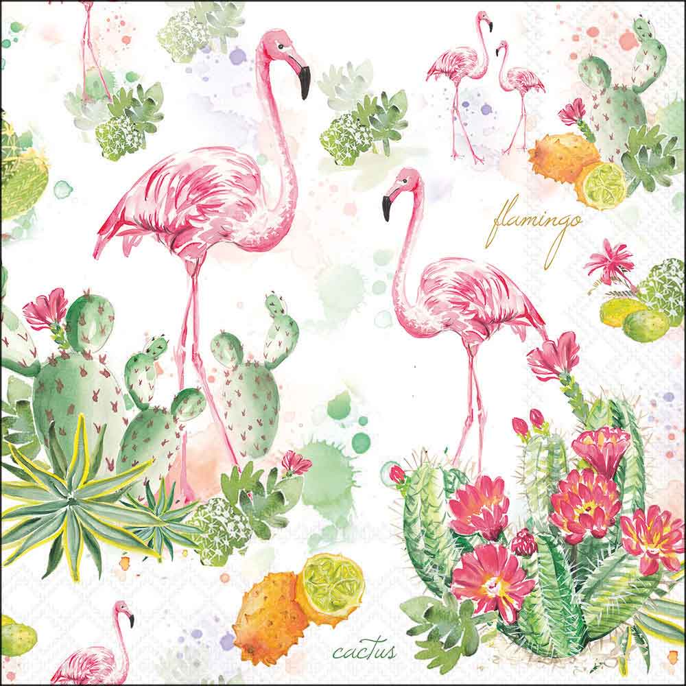 Flamingo+cactus