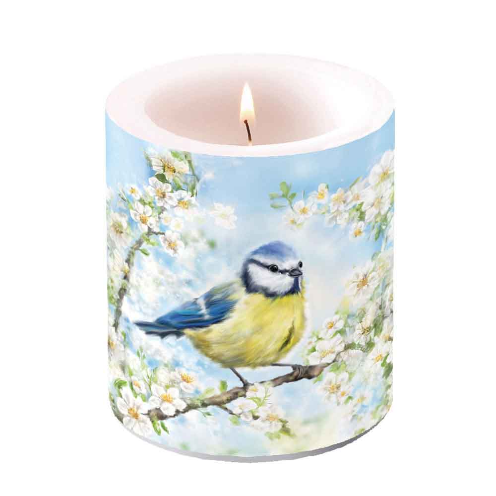Blossom time