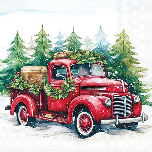 Van in the snow