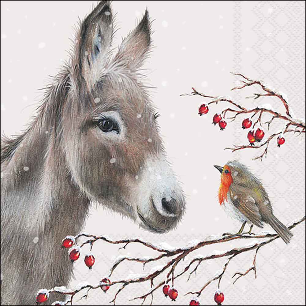 Donkey and robin